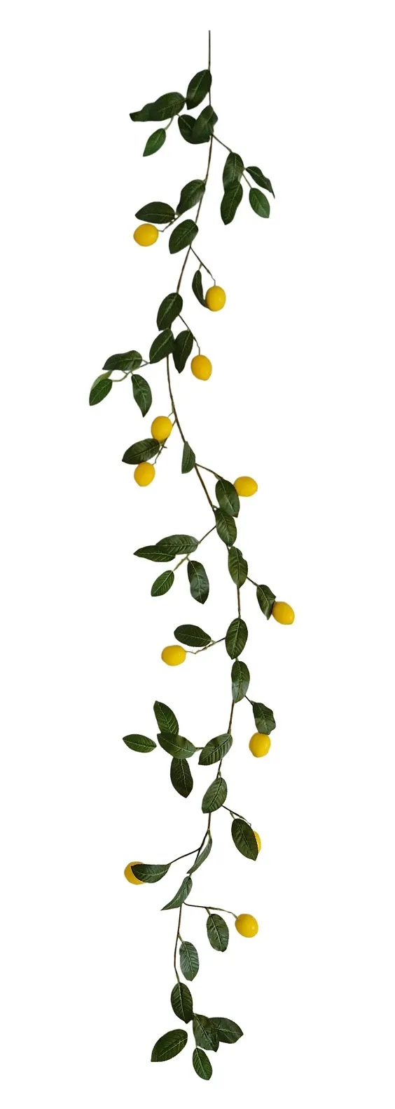 Citroenen slinger 180cm