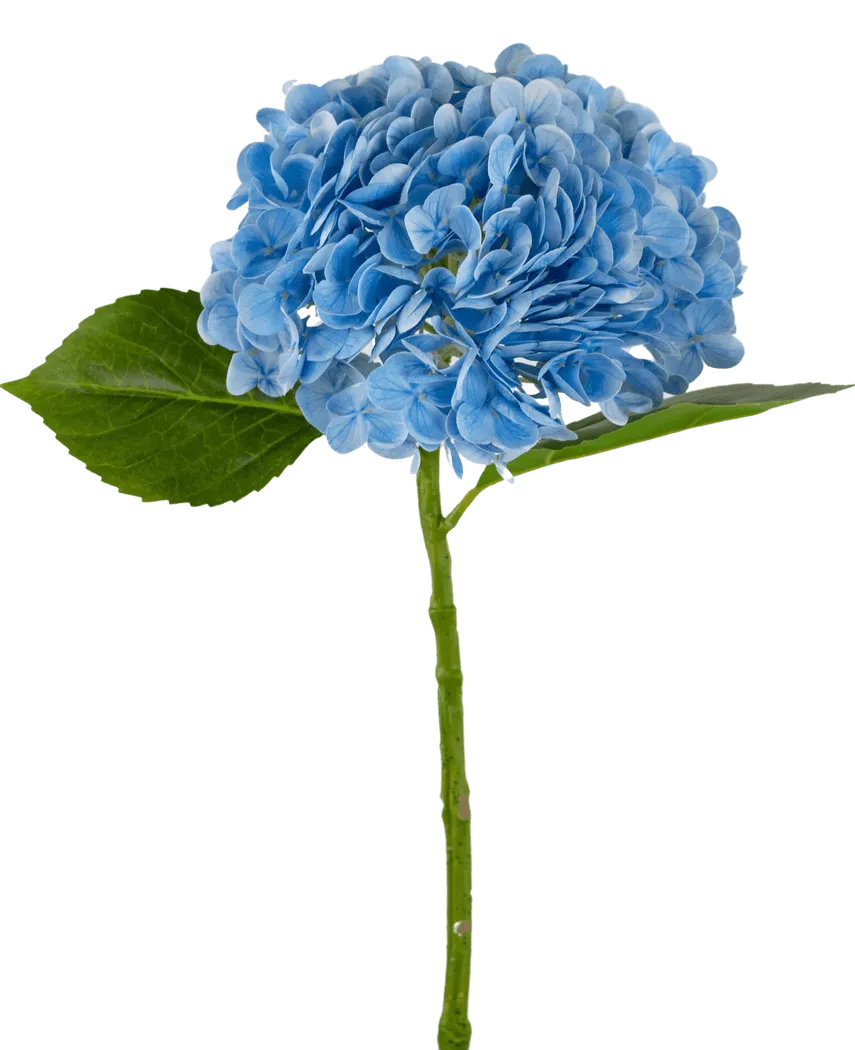Hortensia Licht Blauw - Real Touch
