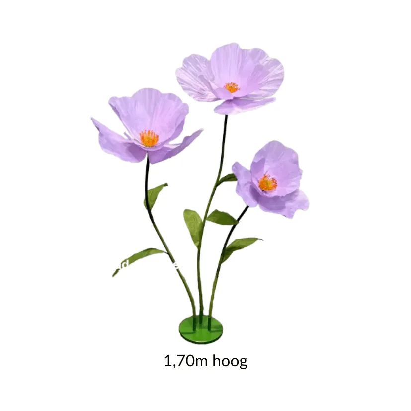 XXL Bloemen