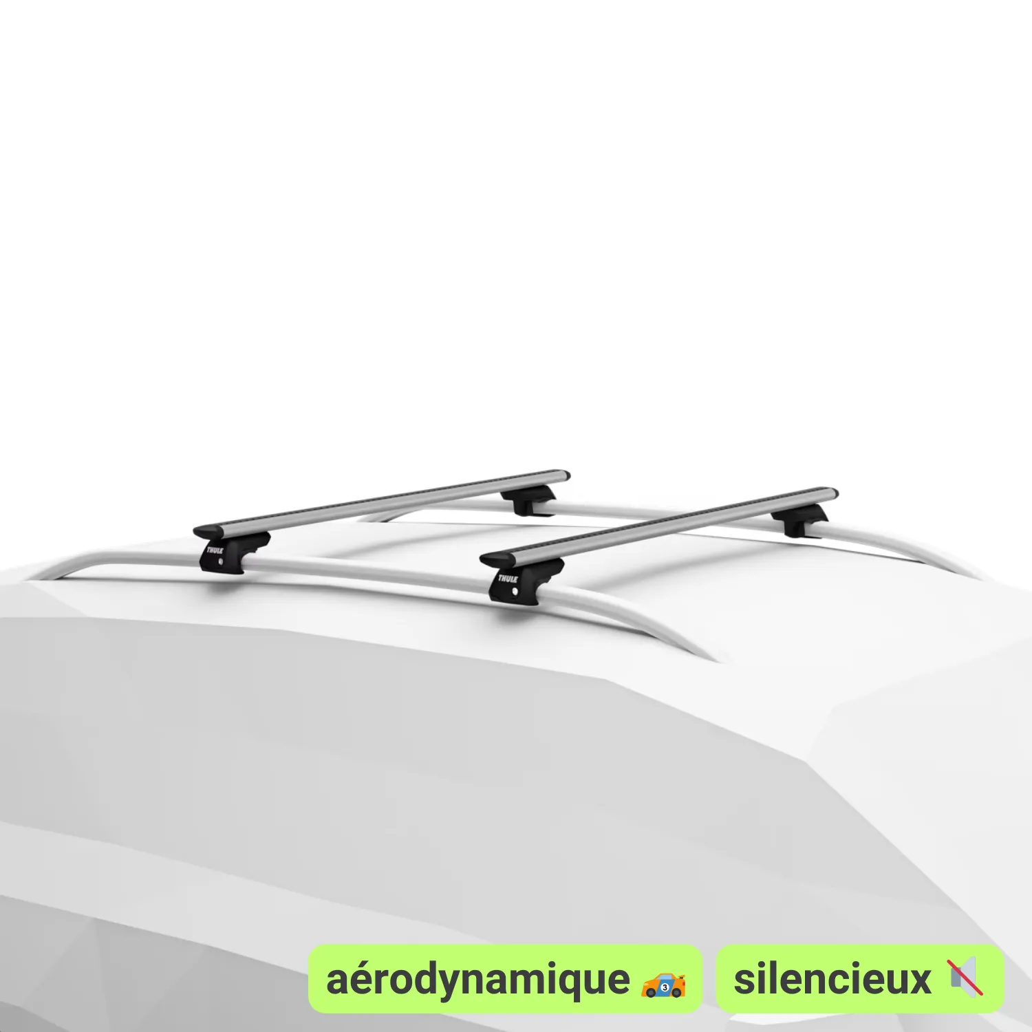 Barres de toit aérodynamiques (Thule WingBar Evo - aluminium gris) 🏎 🔇