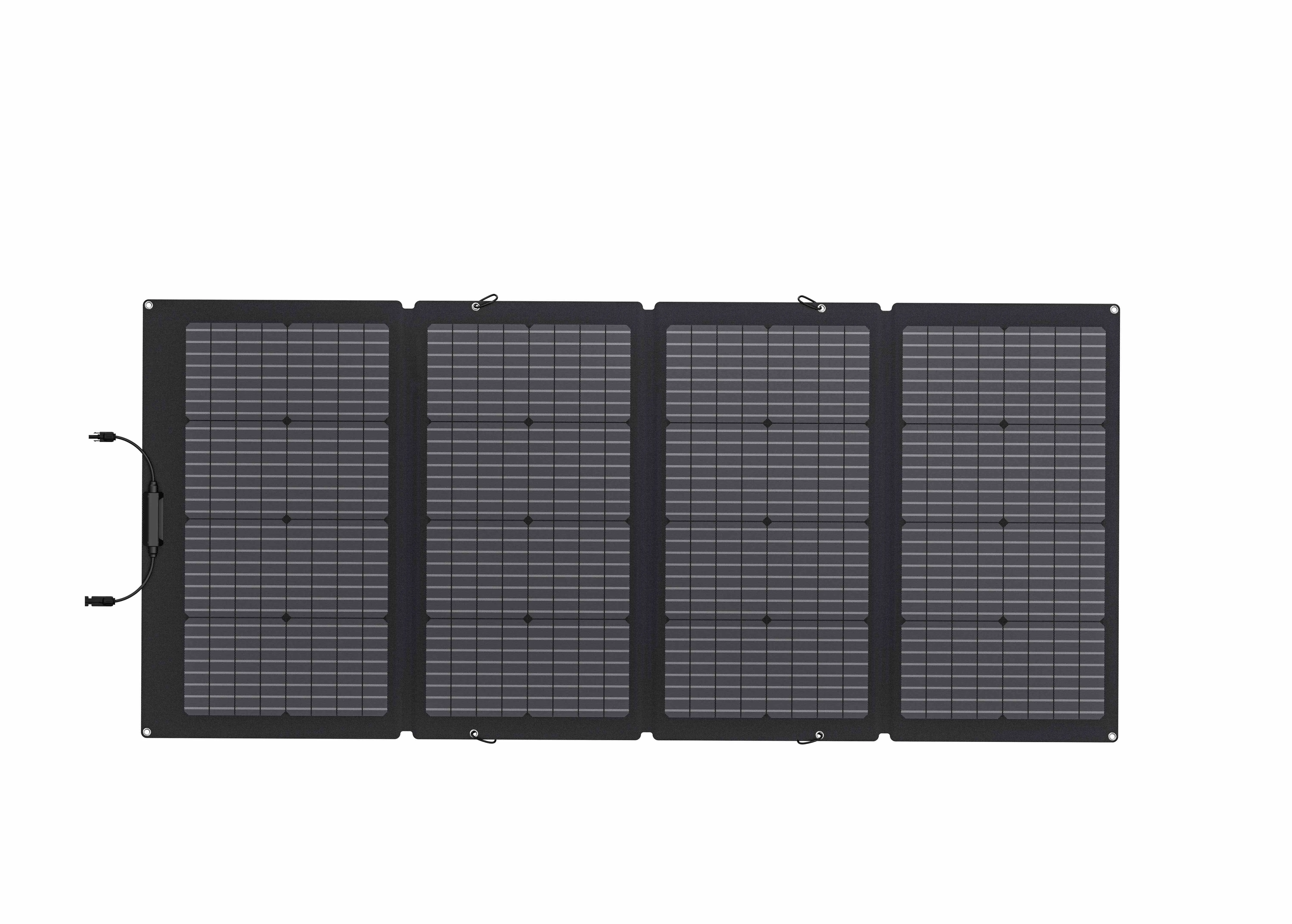 Panneaux solaires Ecoflow bifacial 160W