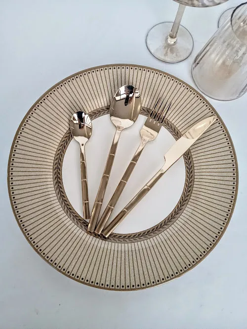 PLATO PLAYO CELEBRATE  VISON