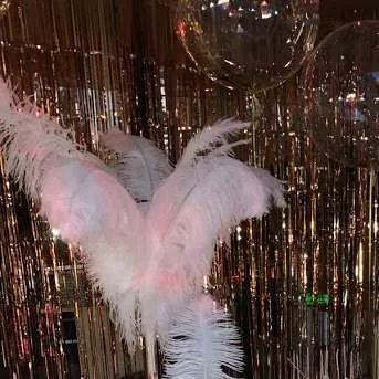 PLUMAS  BLANCAS GRANDES 60 CM