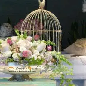 JAULAS VINTAGE ARENA GRANDE