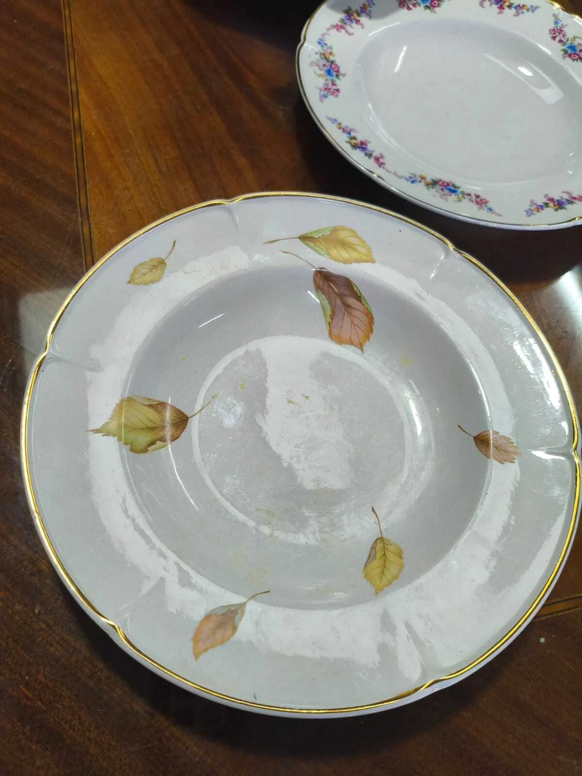 PLATO HONDO SAJONIA HOJAS OTOÑAL  23 CM 