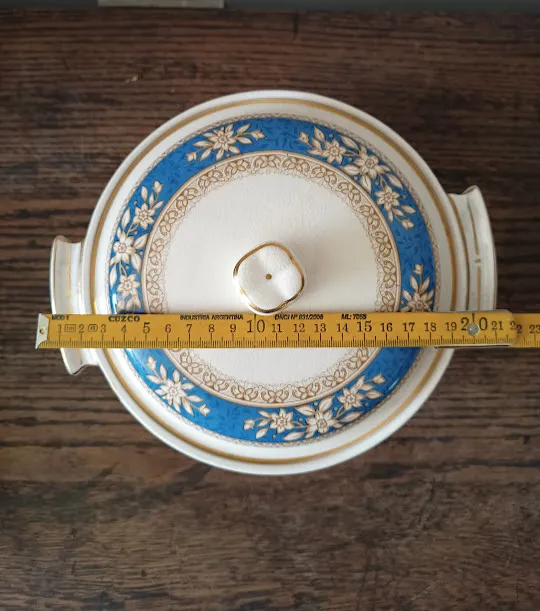 GUISERA INGLESA BLUE ROCKWOOD - 23 CM