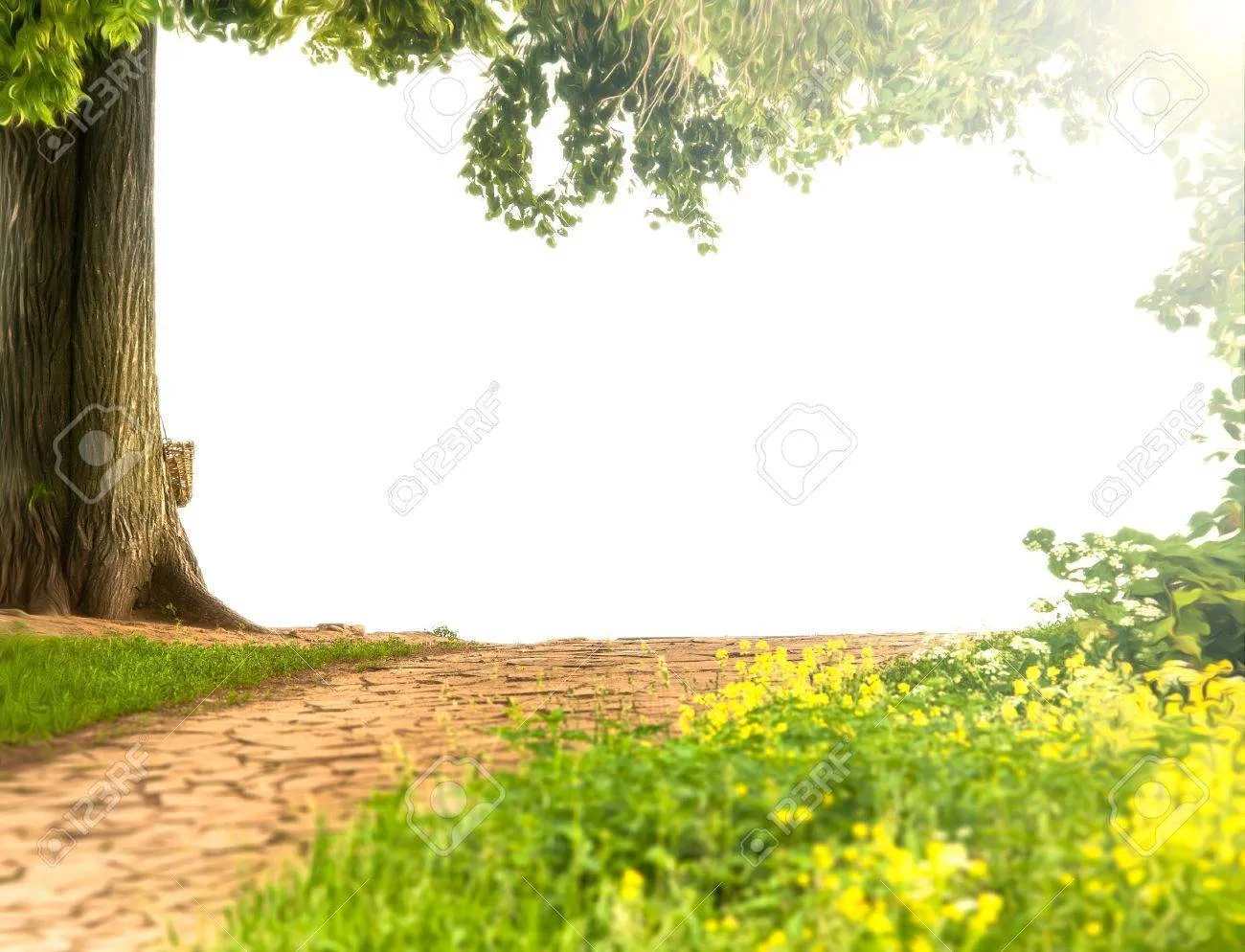 FOLLAJES VERDES  COLGANTES CON FLORES  AMARILLOS