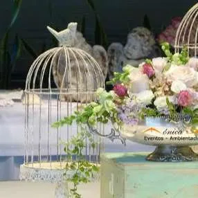 JAULAS VINTAGE ARENA CHICA