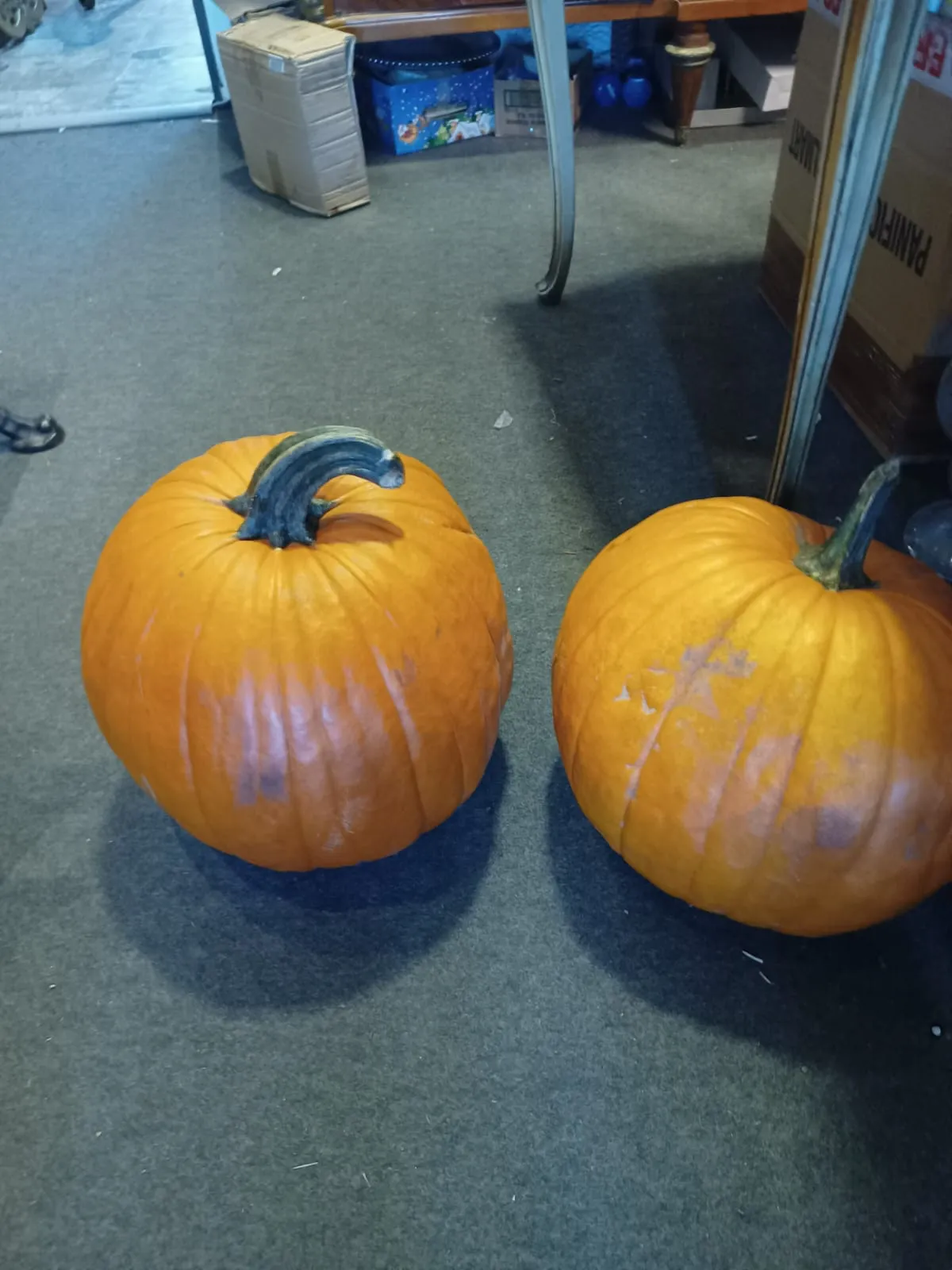 CALABAZA HALLOWEEN  diam 30/ 40 CM