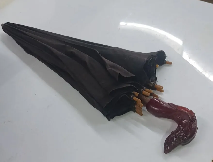 PARAGUA ANTIGUO NEGRO MANGO  PERRITO