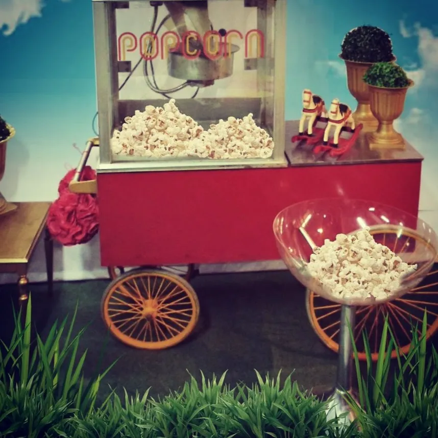 CARRITO POCHOCLERO Medida 1.22 largo; 0,50 ancho ; 1,60 alto