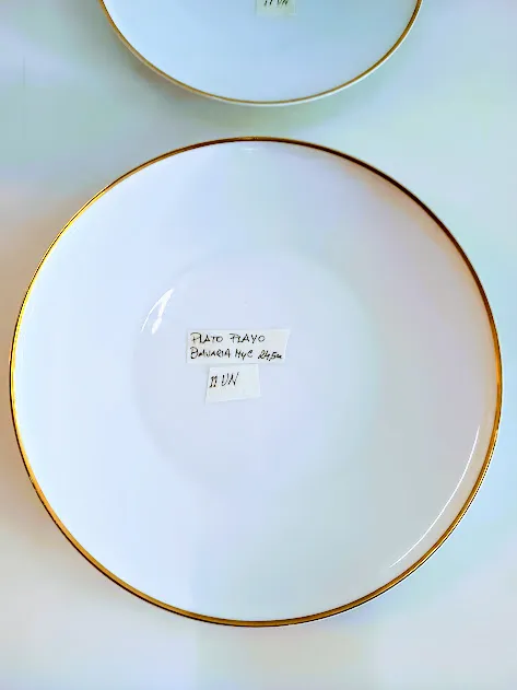 PLATO PLAYO  BORDE ORO LISO   "BAVARIA HC” - 25 CM  "M8"