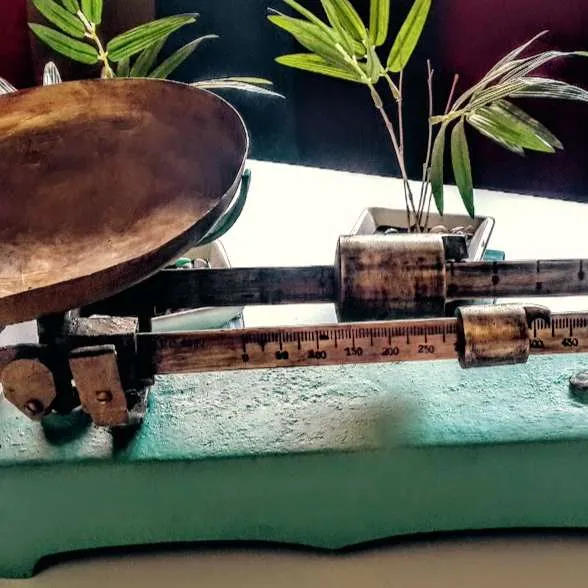 BALANZA  DE COCINA  1 PATILLO-VERDE 