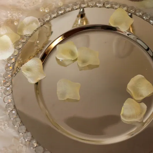 PLATOS  DE SITIO  PLATA DIAMANTE  (CP013)