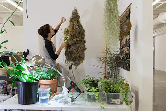 Fondo Madera  3 paneles  Desarmable ( 0.80 c.u) 2,40 x 180