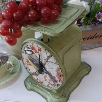 BALANZA DE COCINA INTERVENIDA 