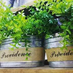 LATAS DE ZINC Y ARPILLERA