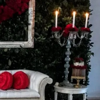  Brazos  Cristal  X 3 Brazos  para topiario de 75 cm