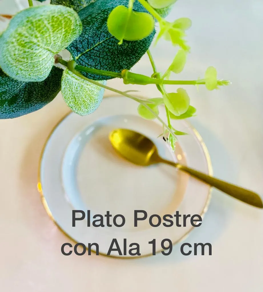 PLATO DE POSTRE-BLANCO CON ALA  19 CM