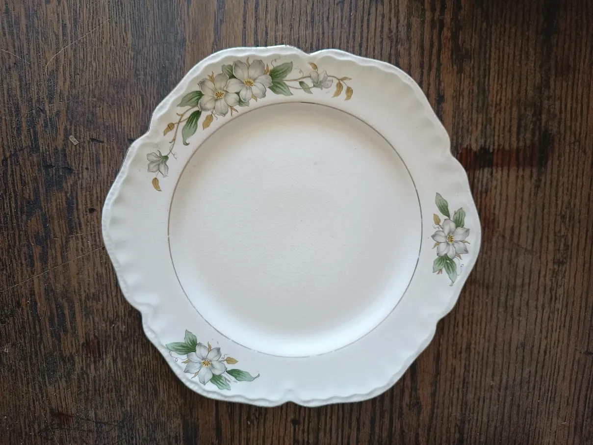 PLATO PLAYO  VINTAGE VOGT - 25 CM