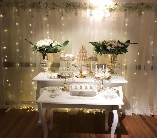 CORTINA  DE LUCES LED 3,0 x 3,0 mt - 01