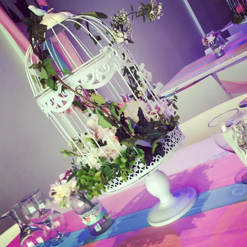 JAULAS PAJARITO CON PIE GRANDE   25 X 40 CM  Y PIE 15 CM 