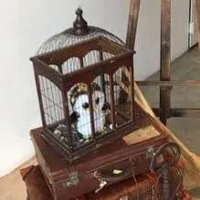 JAULA DE MADERA  GRANDE