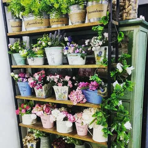 LATAS Y MACETAS VARIAS