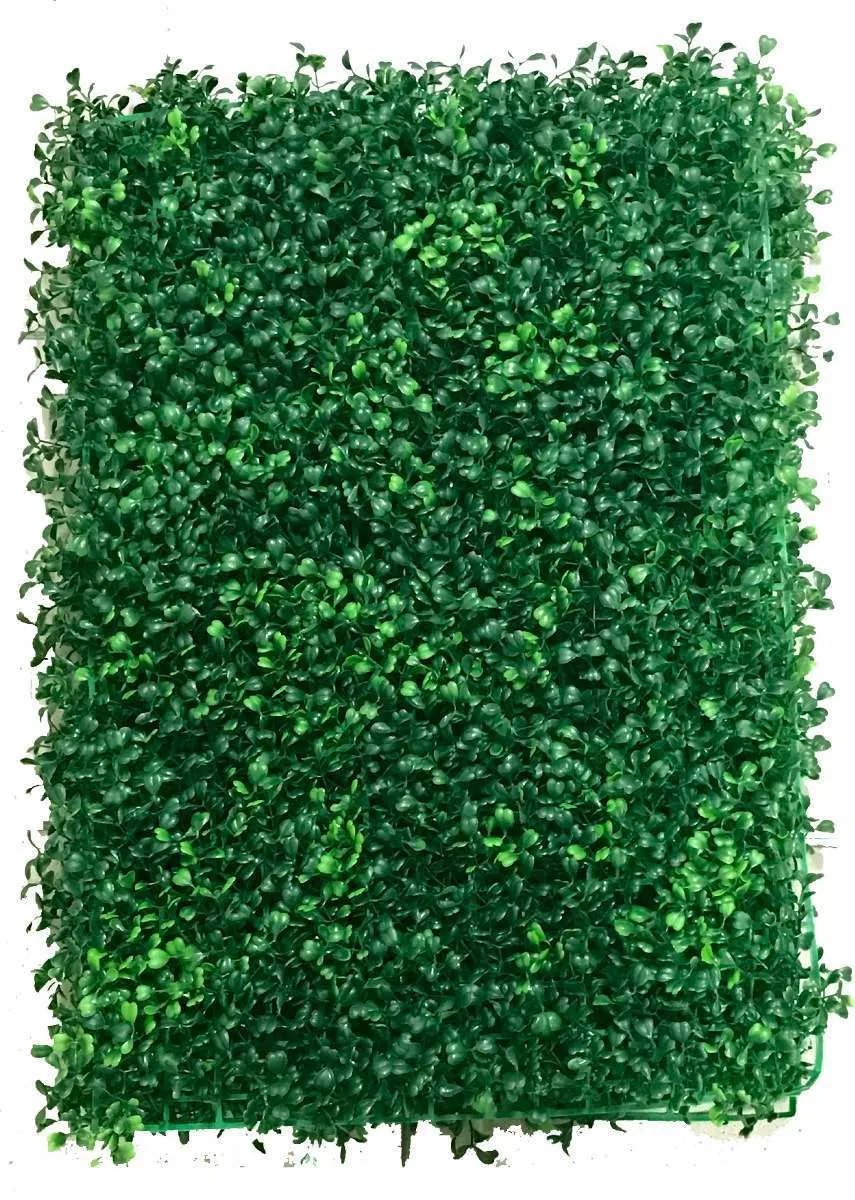 PARED VERDE  CLARO 2.40 X   2.36 mt