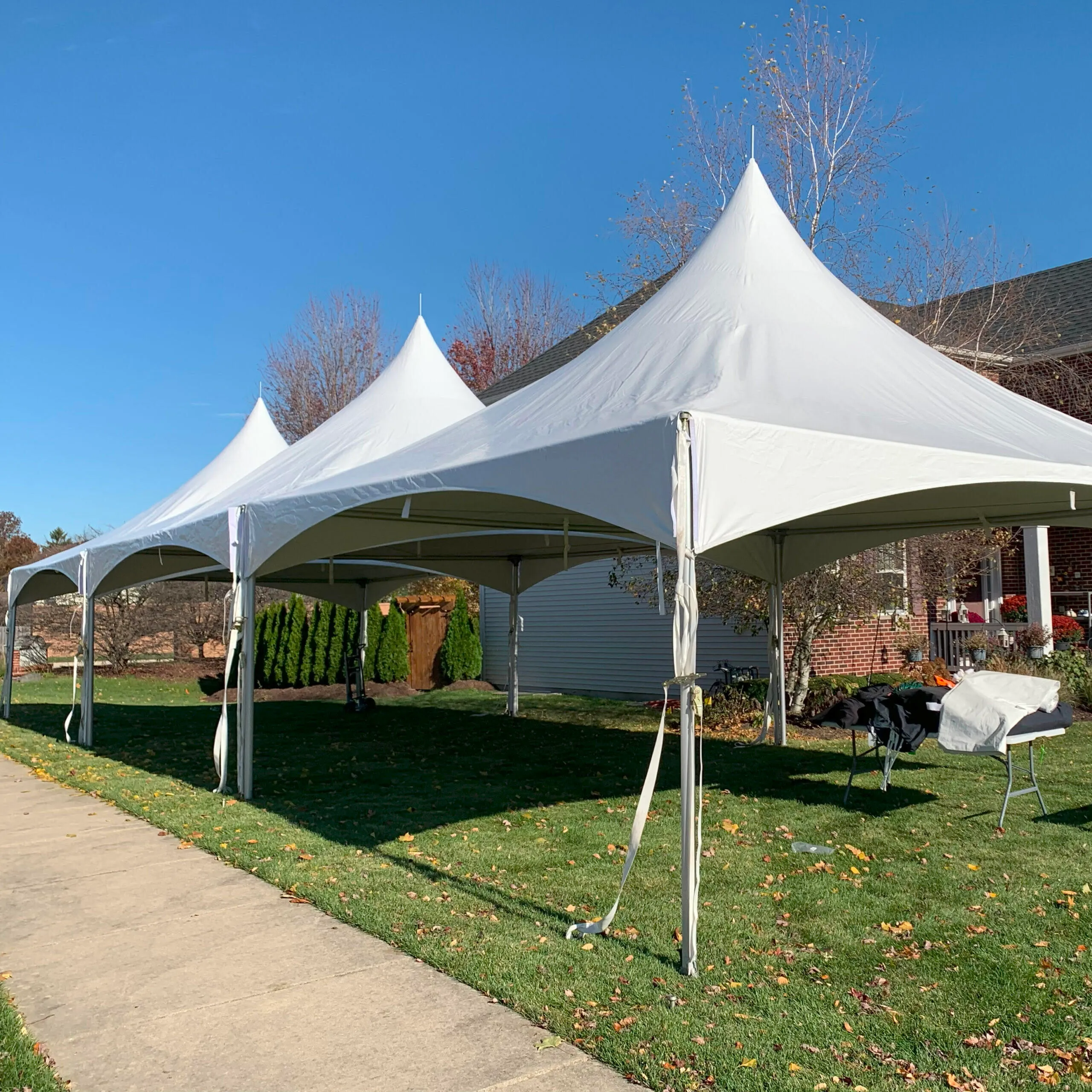 The 224 signature (up to 150 people) 