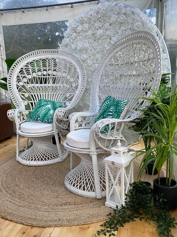Peacock Chair