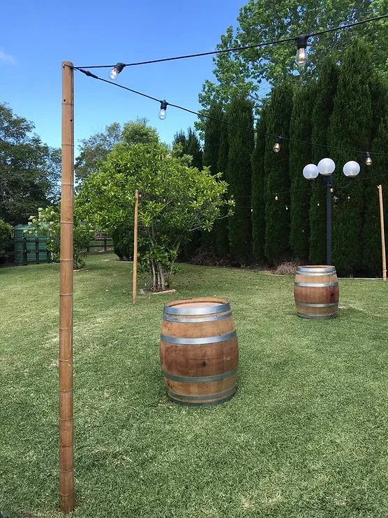 Festoon Lights (20m Set)