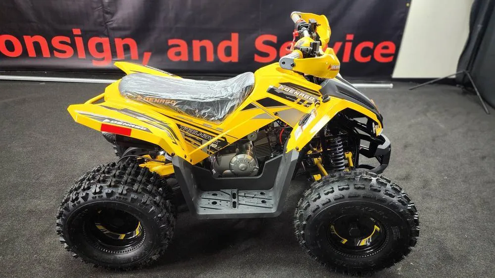 Denago Trailhawk 10FI Yellow Youth ATV Rental Beginner-Friendly 110cc