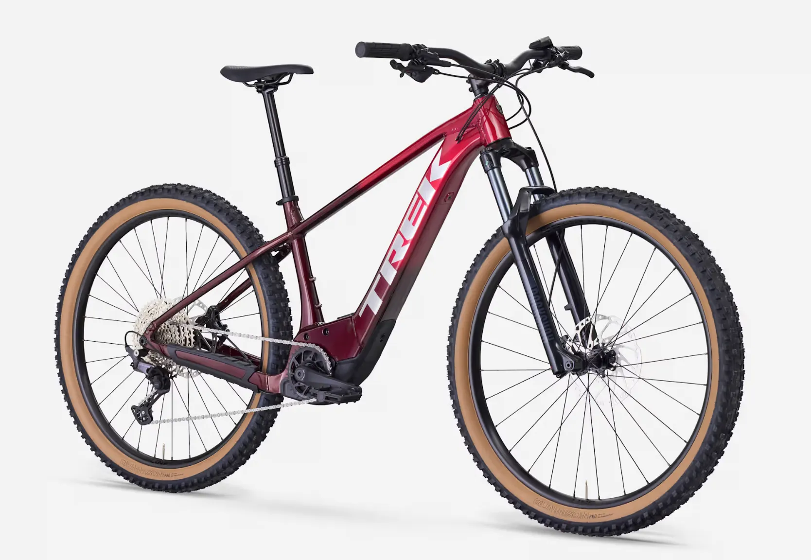 Adult E-Bike