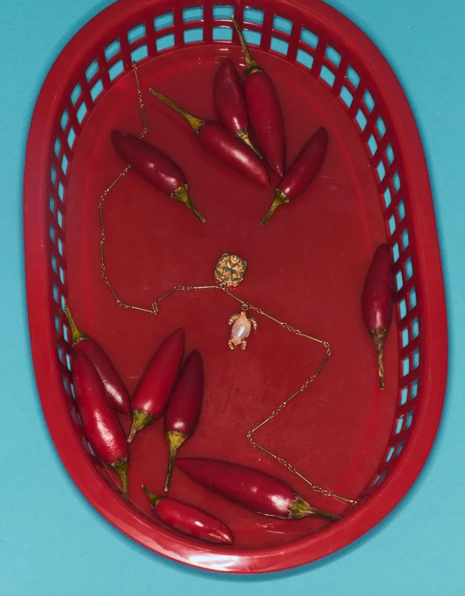 Alémais Encanto Fine Charm Necklace