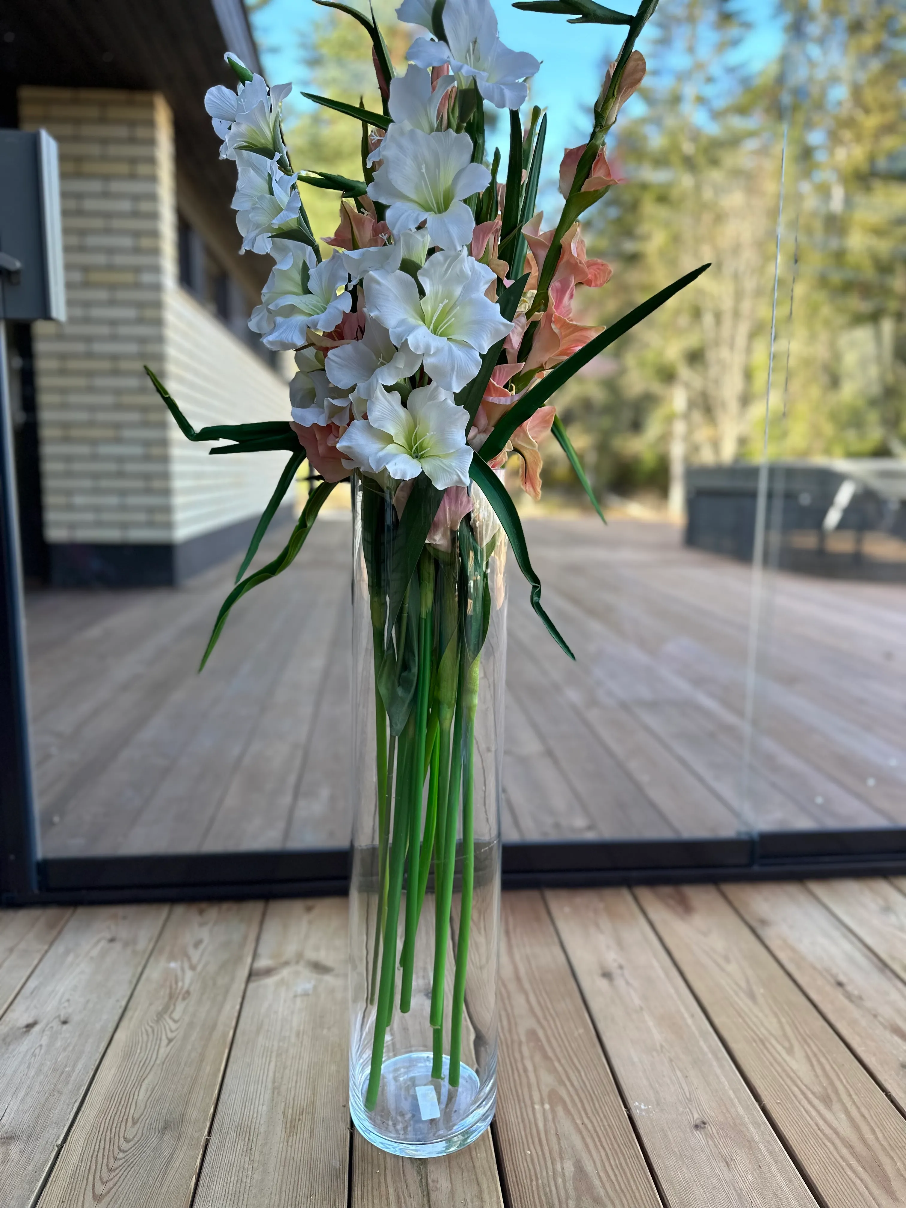 Gladiolus tekokukka