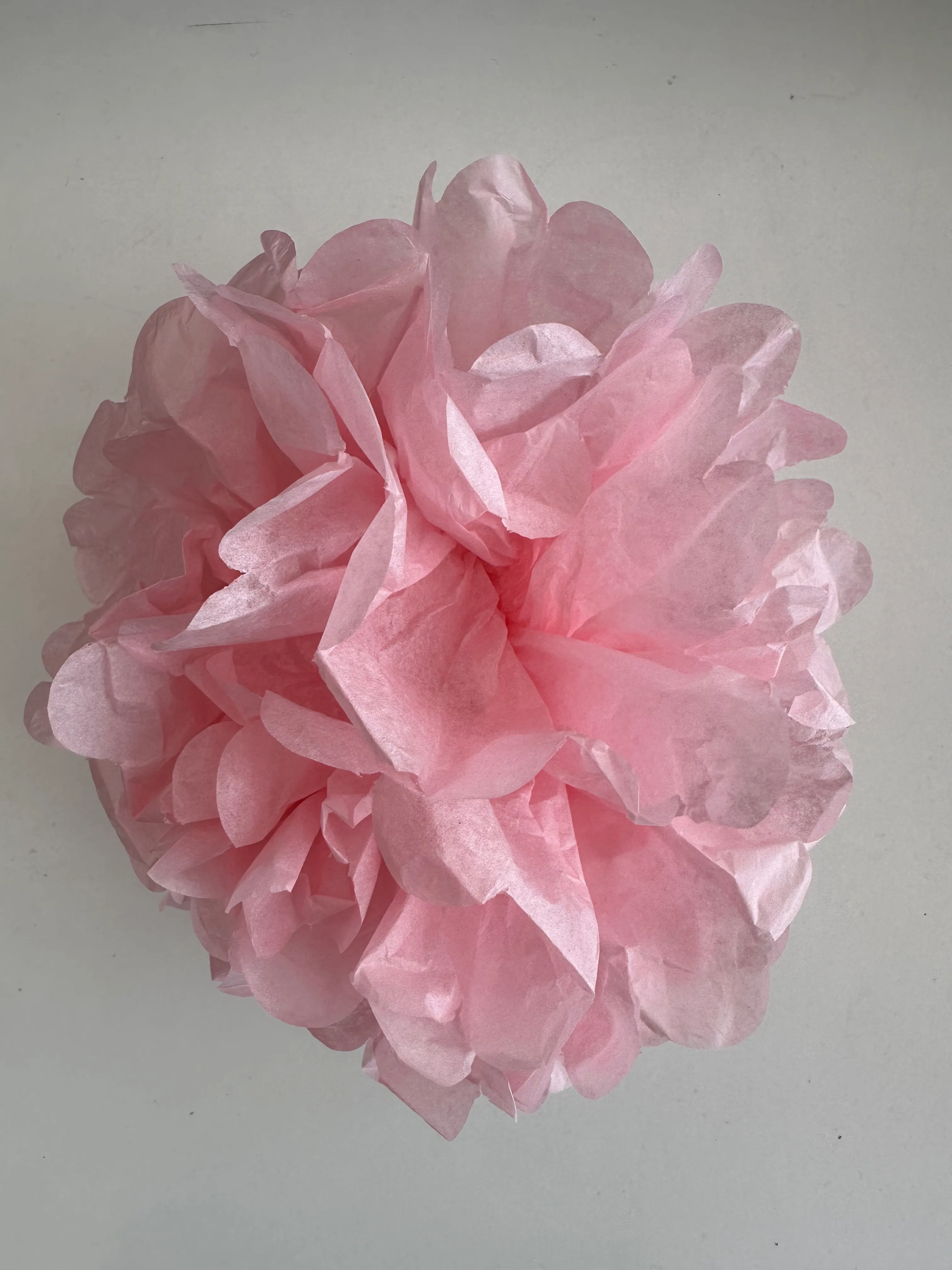 Pompom 20 cm