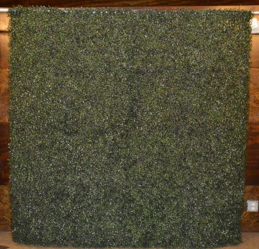 Boxwood Wall