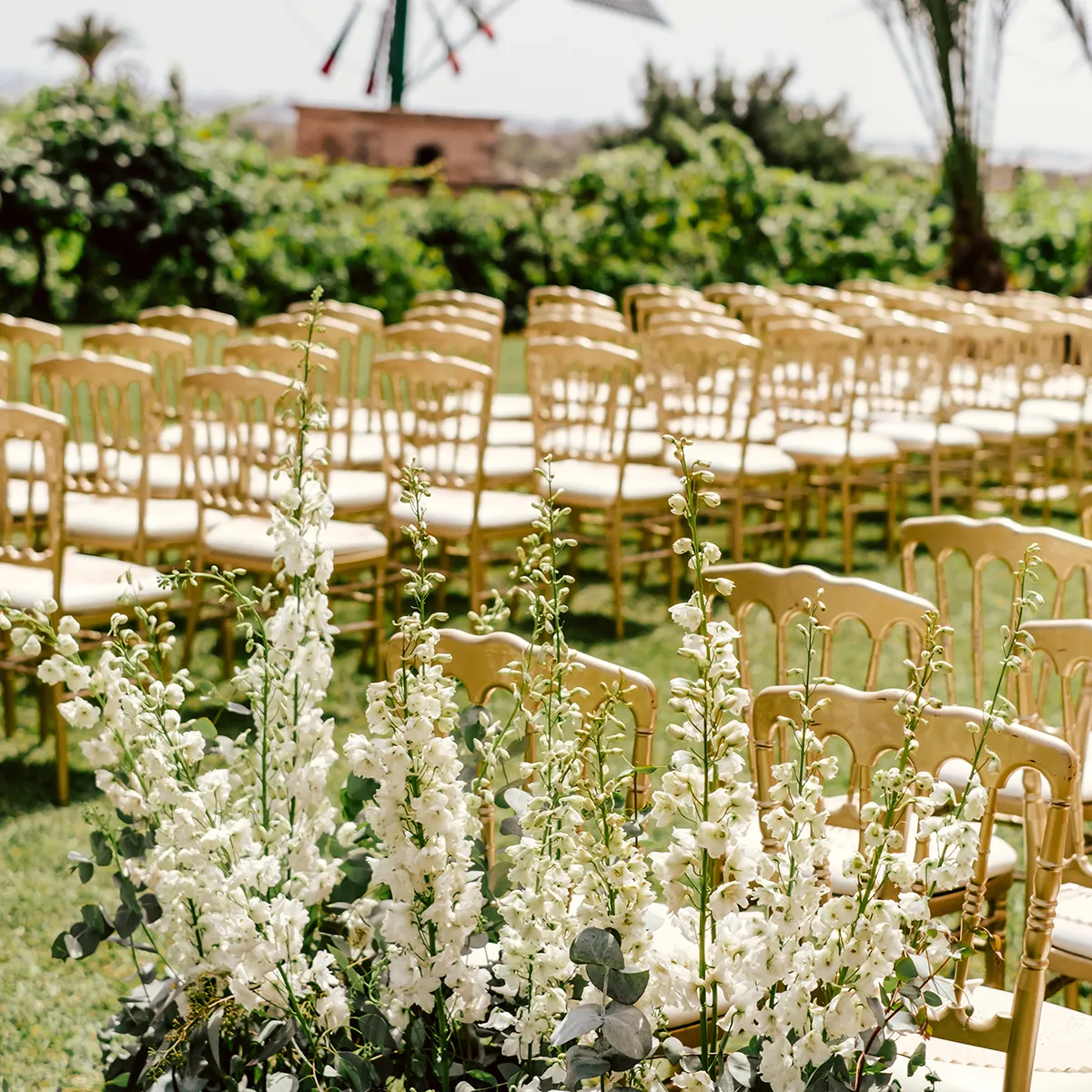Ceremony Chairs