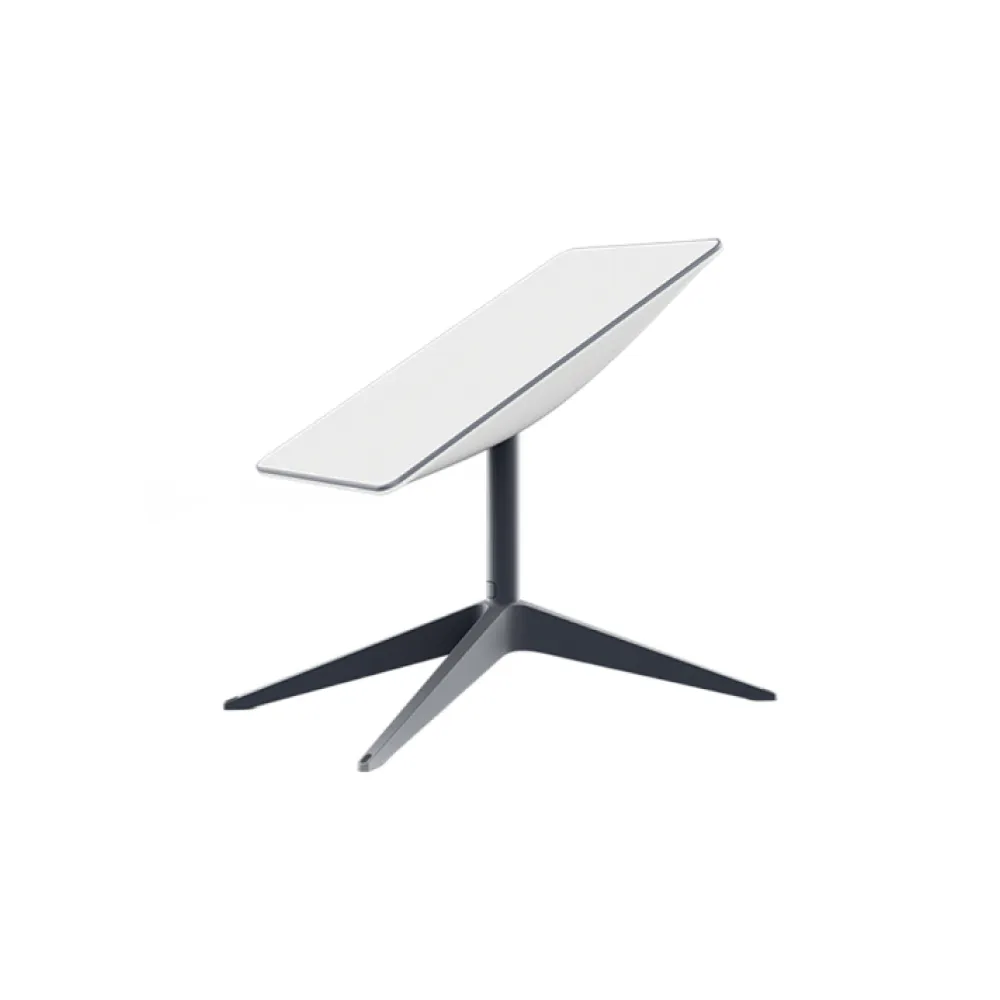 Starlink Standard Actuated with Roam subscription