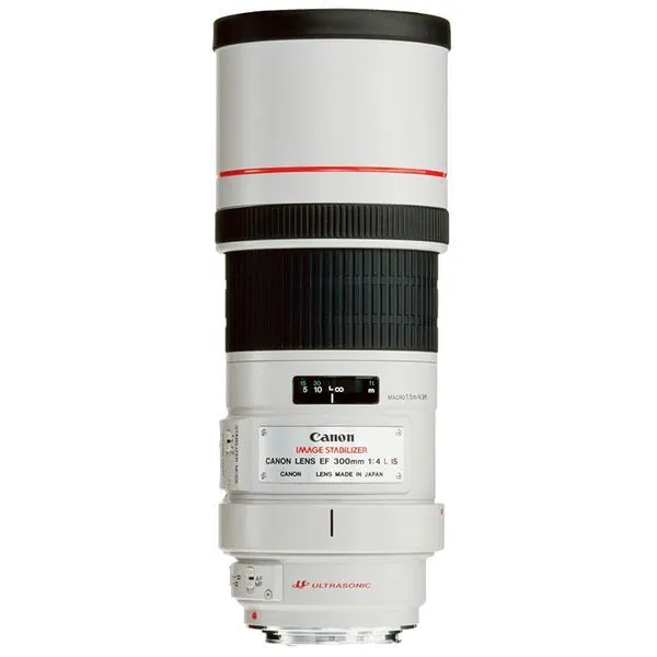 Canon EF 300mm f/4L USM Lens