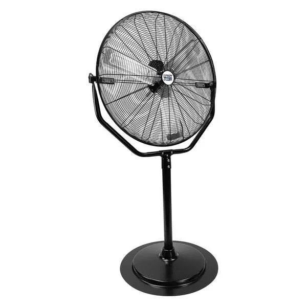 Fan