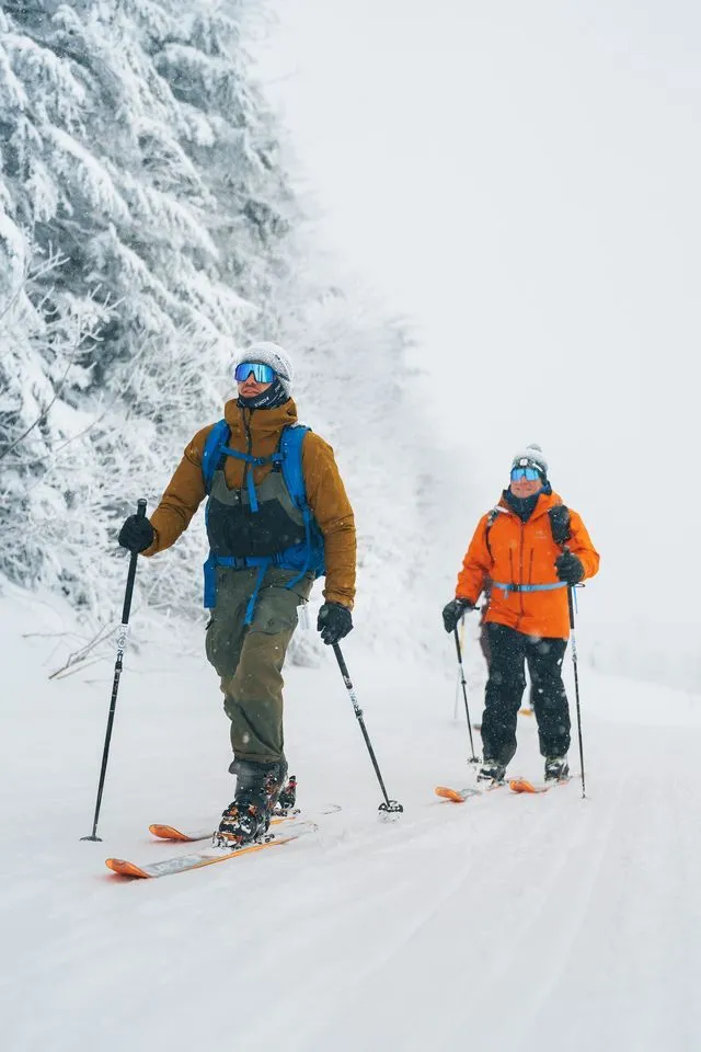 Skis de randonnée alpine