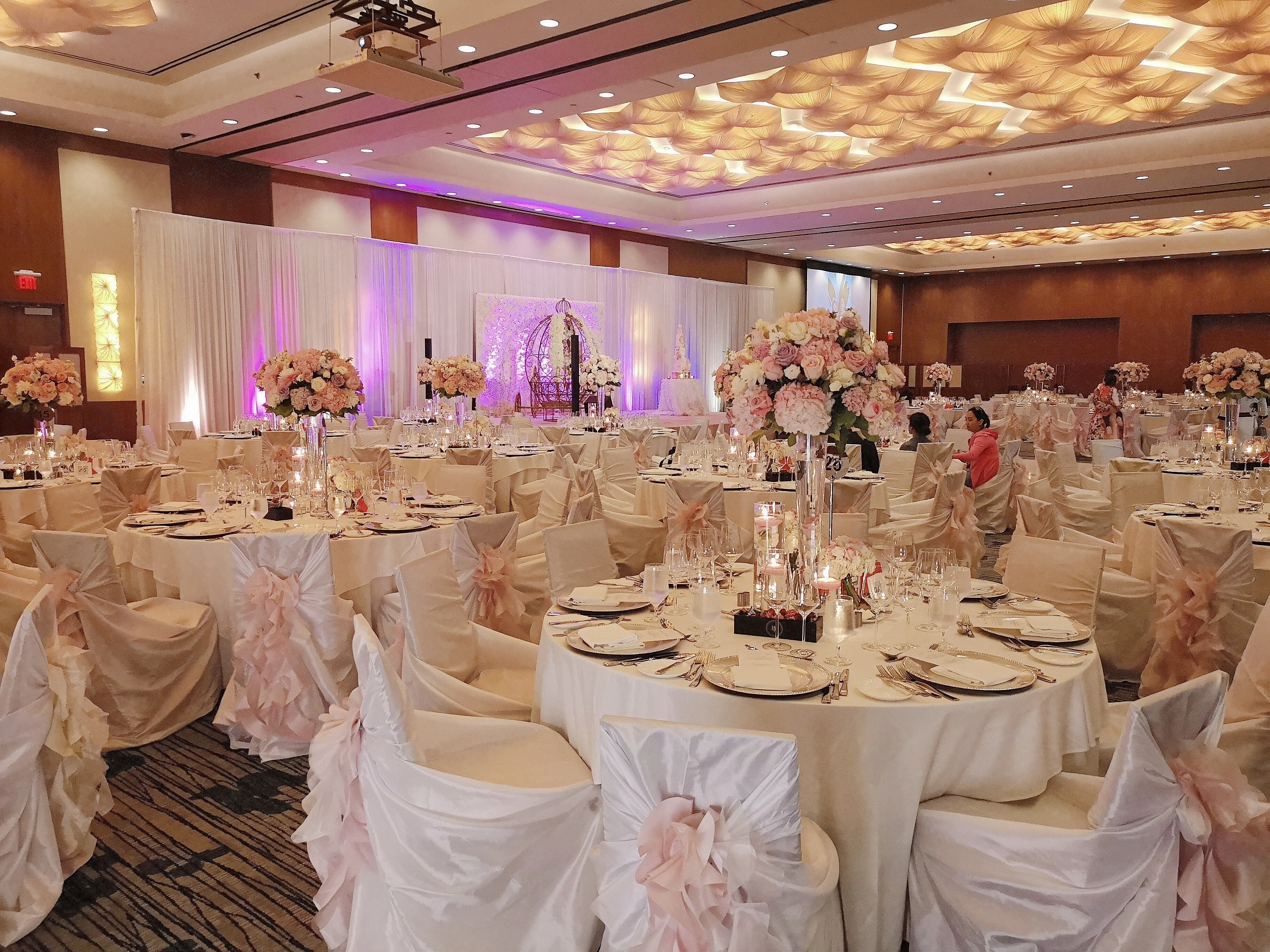 Sash - Ruffle - Blush