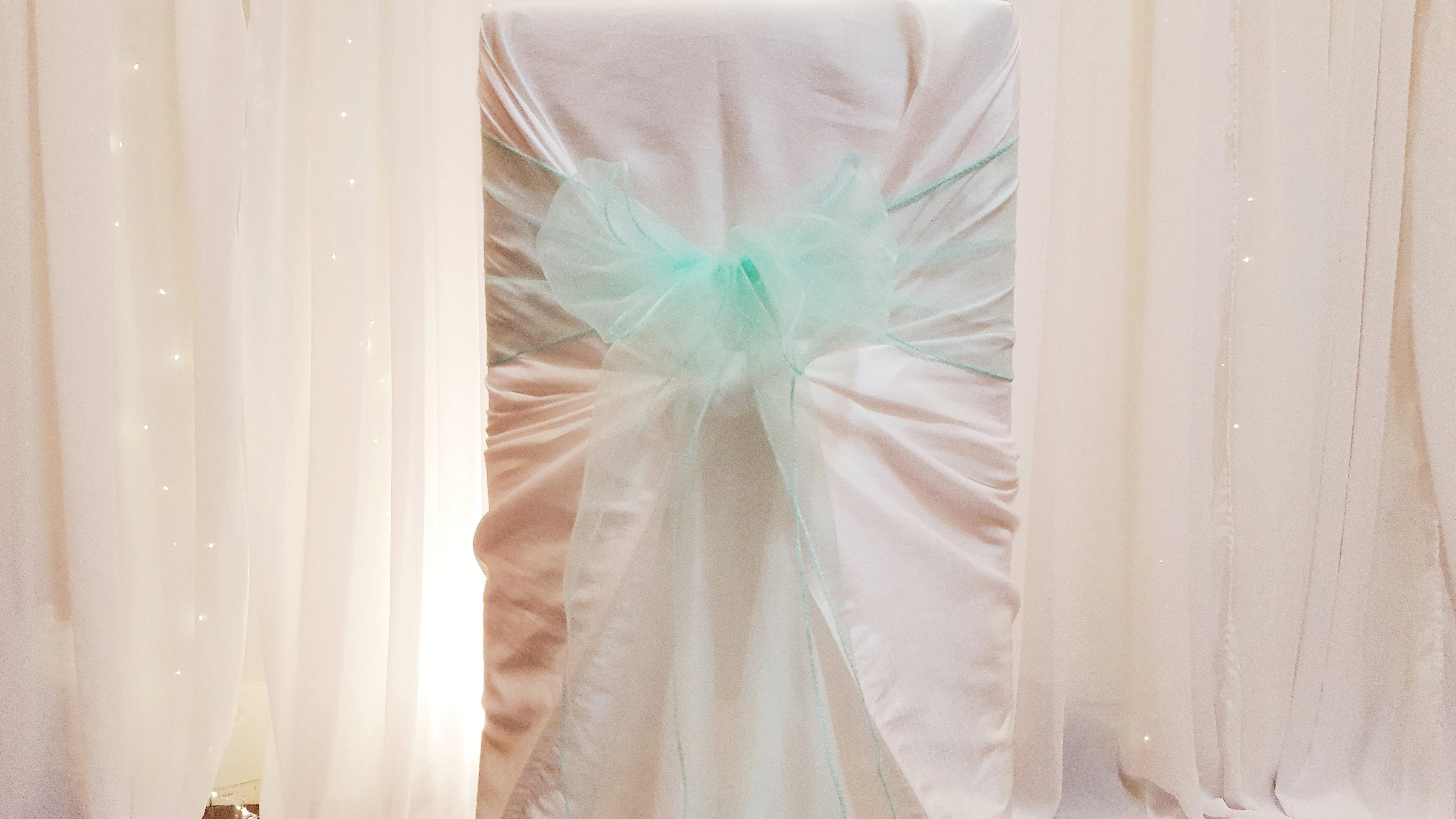Sash - Organza - Mint Green