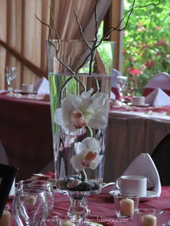 Vase - Trumpet - Wide Mouth