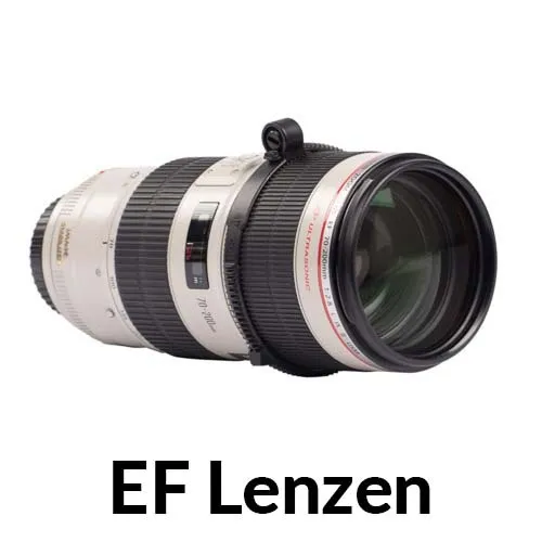 EF lenzen