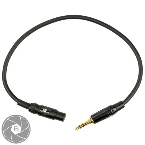 Mini XLR (Female) > Mini jack