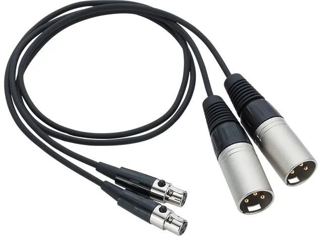 Zoom mini XLR