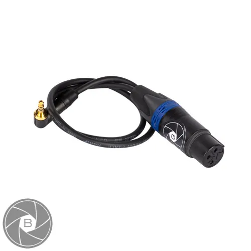 Mini-jack > (Female) XLR